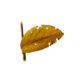 �ҿ�Ǯ��